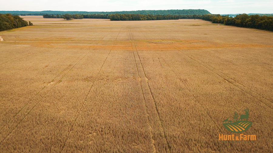 Still 2025-10-28 135545_1.23.1.png